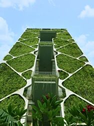 Tree House (D23), Condominium #562083571